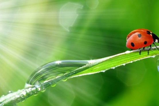 Looking After Our Future………..Today!
